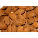 Mandel – Tetenyer Ertragsstark – Prunus dulcis