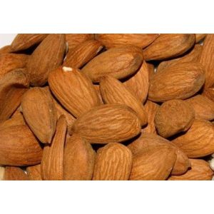 Mandel – Tetenyer Ertragsstark – Prunus dulcis